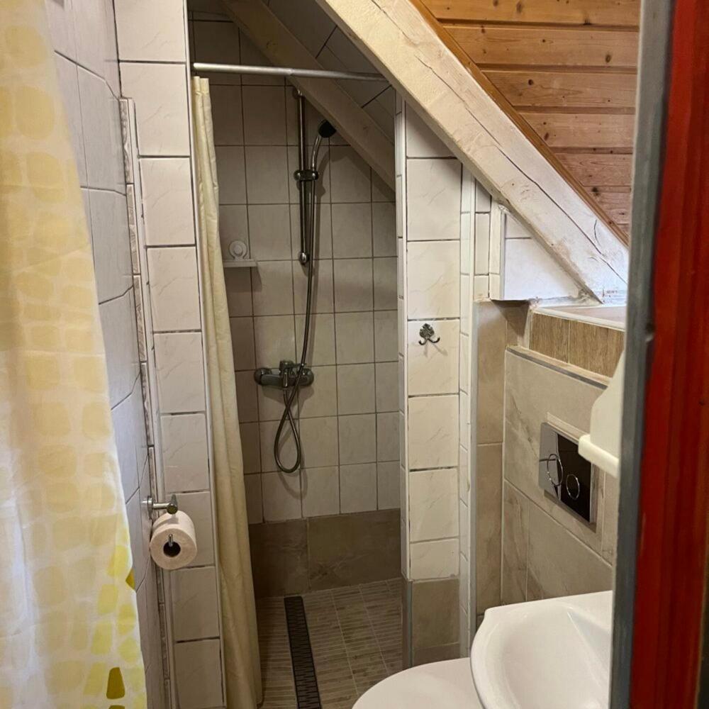 Szigetvár Lenzl'S Panzio Bed & Breakfast エクステリア 写真